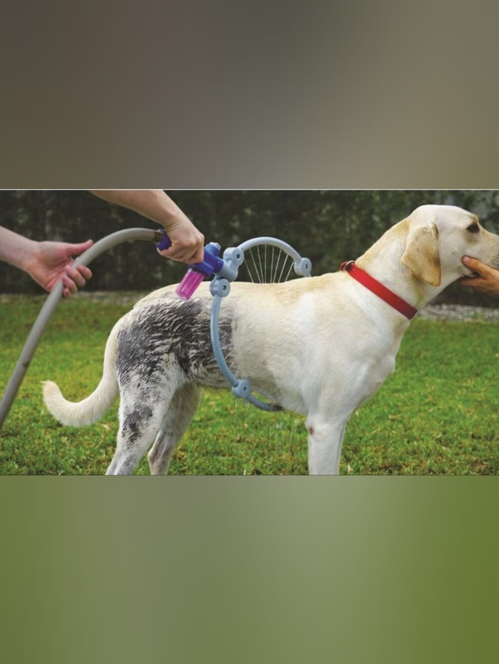 Pet Dog Bathing Ring Sprinkler - Blue